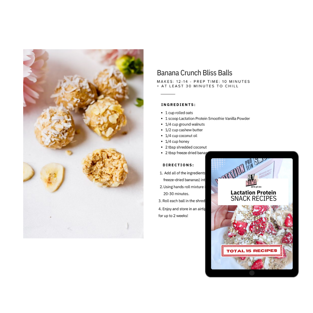 Lactation Protein Complete Recipes Collection